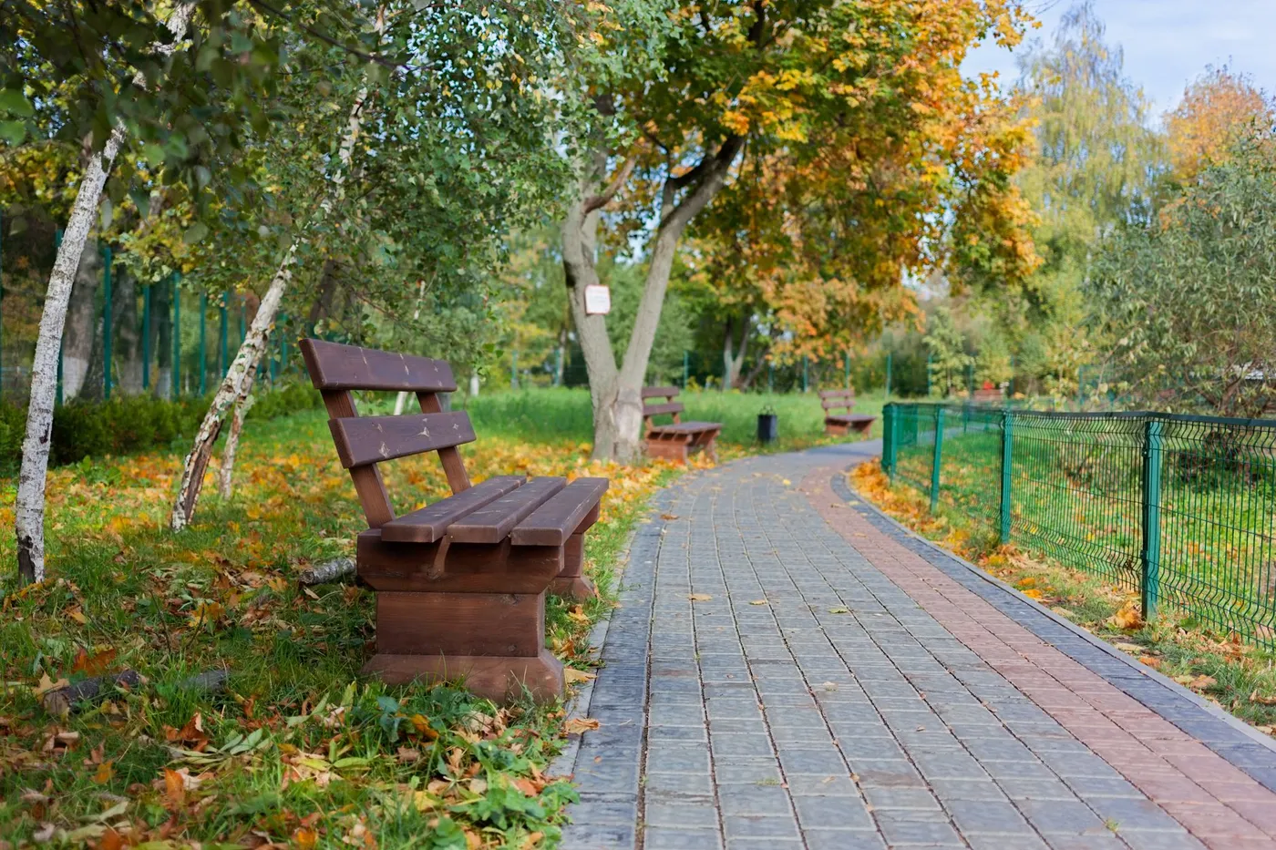 Empty wooden benches beside a brick path through a park in autumn, with fallen yellow leaves on the grass.